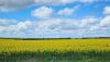 20230423_113529.thumb.jpg.f648d0cb211e18ed70617ea1e82a961f.jpg