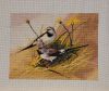 20230425_214401.thumb.jpg.80ecdb23d916e0f1984a7c547a1fe673.jpg