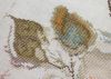 20230427_071055.thumb.jpg.c9424b97fb7e2c8c3ebaf2d0c7c487a2.jpg