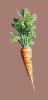 2096090208_.thumb.jpg.3cdbb15c5412c6fc9758473fc492eb8c.jpg