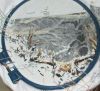 245958569_31.thumb.JPG.80169bcdda156a44000e79f206a33d8c.JPG
