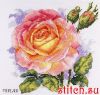 50313.thumb.jpg.0b6efd85eba44d2f1a2675fd4fef5101.jpg