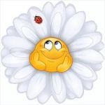 Аватар goddest2002@yandex.ru