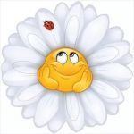 goddest2002@yandex.ru