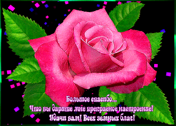 84cdd52ff4b3e0c398b6389575f2a279.thumb.gif.88a25c6e3c0d1e6d9a9282b664b61fa2.gif
