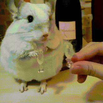 8A93B289-2702-48A2-BBF5-7FF12C8F456A.thumb.gif.63906516af8ef71362e6a6a8075c3638.gif
