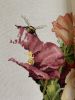 A1A7ACCB-926D-4D2B-99D2-DCBE0DD14EE0.jpeg.7c9b3a5849a57815fce343ae4ab7605e.thumb.jpeg.7dd7c0c03ff556d117a70fc5a866b83f.jpeg
