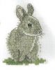 AFF2C28D-4E76-46A4-9FEF-BE618EA1FE86.thumb.jpeg.006ffde81ca444d7e7fd4a5785bfda05.jpeg
