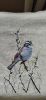 D0C6C44A-94C2-4317-AE18-2C79B5D27AE0.thumb.jpeg.0f89465265d823fbb8552a03a0d84e8f.jpeg