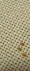 DSC05155.thumb.JPG.d3c0d700f44886c12996be29d935a164.JPG