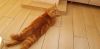IMG-20230329-WA0010.thumb.jpg.b076828ccde6b2416f43dc34b5d37b2d.jpg