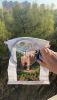 IMG-20230423-WA0001.thumb.jpg.7ffe4ec4d5ba1e273a133ffad235d5f3.jpg