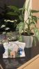 IMG-20230423-WA0003.thumb.jpg.1a9fecfce328a0d0a783f95953564ab4.jpg