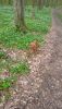 IMG-20230427-WA0004.thumb.jpeg.5089c9076bedf501702bfc0f6092b775.jpeg