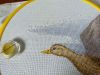 IMG20230401114823.thumb.jpg.f0e3118fee602c837303cf408b2699c0.jpg