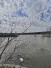 IMG20230403120215.thumb.jpg.18a1536af6237a03eb73097c54abae44.jpg