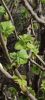 IMG20230406114711.thumb.jpg.e3b33eddb27aafa294d4ff4fe3f41fe0.jpg