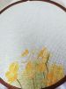 IMG20230422105209.thumb.jpg.7bd325b1dc901a3152553f55e3d82fc3.jpg