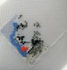 IMG_20230326_103749.thumb.jpg.bba8f0441bf66e838da35429a426f42a.jpg