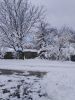 IMG_20230331_091752.thumb.jpg.96cd7ae3118552babc85ae5c5ff58f64.jpg