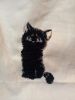 IMG_20230401_201123.thumb.jpg.f5daf023534bec8be2329bbfa5c16881.jpg