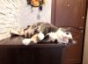 IMG_20230406_090512.thumb.jpg.af7bd538544cdbc54fd1fff5f9c81460.jpg