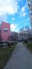 IMG_20230407_160645.jpg