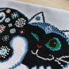 IMG_20230409_174919.thumb.jpg.20b2ee84530e7309d44e0b28a15c5dbd.jpg