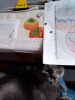 IMG_20230413_091423.thumb.jpg.45467b9b09f06f826032f45a56badf14.jpg