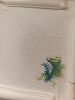 IMG_20230420_151128_550.thumb.jpg.03523d0f7ff64ed90422ca2d9233e3e1.jpg
