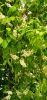 IMG_20230421_163817.thumb.jpg.ffbc929879e03ad83c132fa156d41be7.jpg
