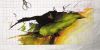 IMG_20230422_003106.thumb.jpg.a4bd3c2f4cf76770eb3edc4953cb9ff2.jpg