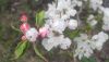IMG_20230422_170650.jpg
