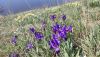 IMG_20230423_115642.jpg