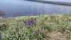 IMG_20230423_115732.jpg