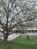 IMG_20230424_192904.jpg