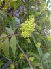 IMG_20230427_121649.thumb.jpg.7bebf35c665d91a75f4195ecab2d372b.jpg