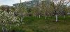 IMG_20230427_151603.thumb.jpg.1173a90ed649b2c8ebb2dfdff2950743.jpg