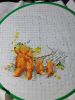 IMG_20230428_214645.thumb.jpg.bff90f3d99e3d065d6440b820e611253.jpg