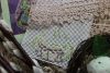 IMG_8522.thumb.JPG.7a9df7b83613110be87acdfb6bc85463.JPG