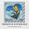 Tyulpan_Kaufmana.jpg.62b5144a2eb416d06a0a00f27e6f9f2f.thumb.jpg.b6a9deb60d2fb7816b592a1801a6f8ee.jpg