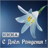 image017-120.thumb.jpg.951eb740f9ef949081318e5c54254acc.jpg