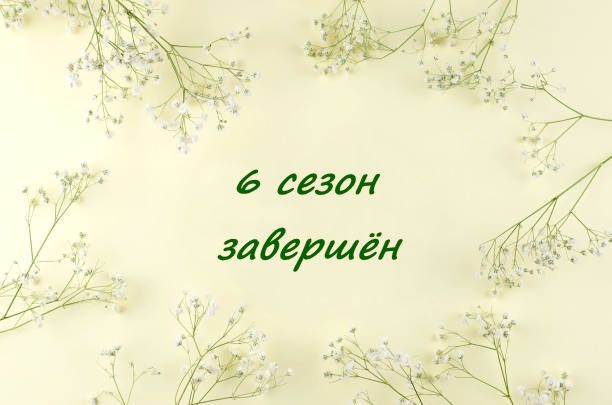 istockphoto-1135121918-612x612.jpeg.80944648d5a132414f98ed9e95f46a8b.jpeg