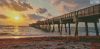 minijunobeachpier_MED.thumb.jpg.81787fc9b724e7cc2f5841d56f1c42d0.jpg