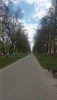 06.thumb.jpg.a981b8ff4e502d32b5c810aa44b46af3.jpg