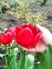 12.thumb.jpg.d0c78f085aaa5556c8ccba28a3ae0664.jpg