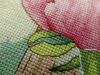 13.thumb.jpg.dd585b555bb774931e2adeae31fdd56f.jpg