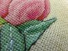 16.thumb.jpg.e6ed92d8cac6d9f7dc0454f9d5a7d4c2.jpg