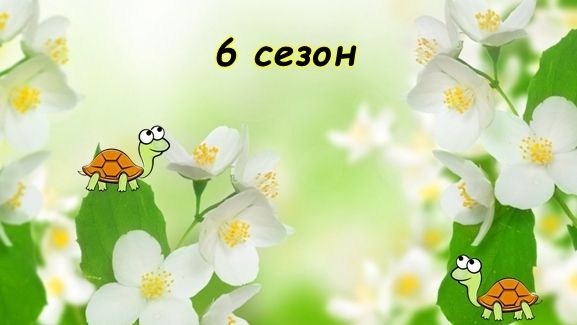 1617687906_6.jpg.3b4be085b8d8d1d118d3703930792249.jpg