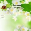 179278958_14.thumb.jpeg.dc2135786dd14798b06fc0a08b7ee292.jpeg
